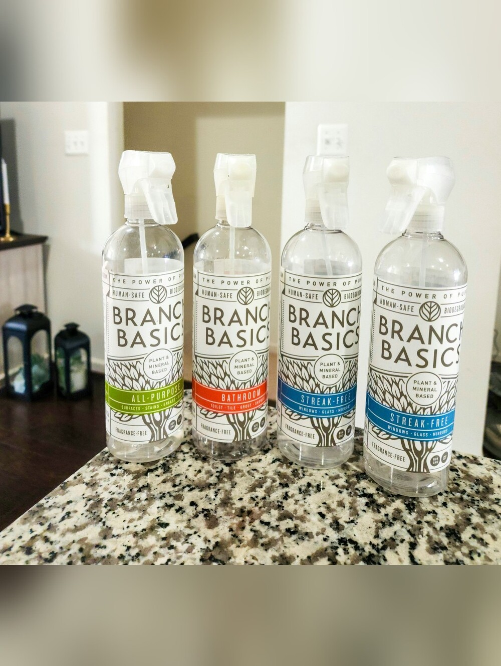 Branch Basics Spray Bottles Set (4) – All Purpose, Bathroom + Streak Free